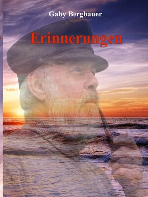 cover image of Erinnerungen